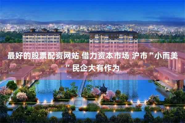 最好的股票配资网站 借力资本市场 沪市“小而美”民企大有作为