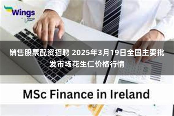 销售股票配资招聘 2025年3月19日全国主要批发市场花生仁价格行情