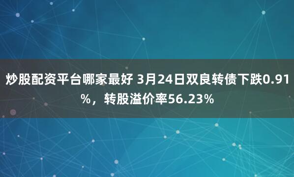 炒股配资平台哪家最好 3月24日双良转债下跌0.91%，转股溢价率56.23%
