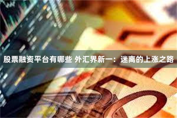 股票融资平台有哪些 外汇界新一：迷离的上涨之路
