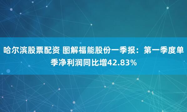 哈尔滨股票配资 图解福能股份一季报：第一季度单季净利润同比增42.83%