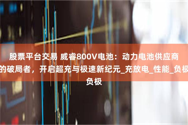 股票平台交易 威睿800V电池：动力电池供应商的破局者，开启超充与极速新纪元_充放电_性能_负极