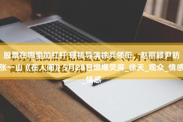 股票在哪里加杠杆 硬核导演徐兵领衔，赵丽颖尹昉张一山《在人间》5月28日燃爆荧屏_徐天_观众_情感