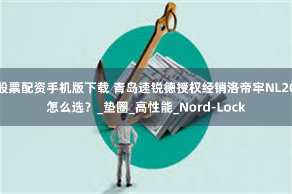 股票配资手机版下载 青岛速锐德授权经销洛帝牢NL20怎么选？_垫圈_高性能_Nord-Lock