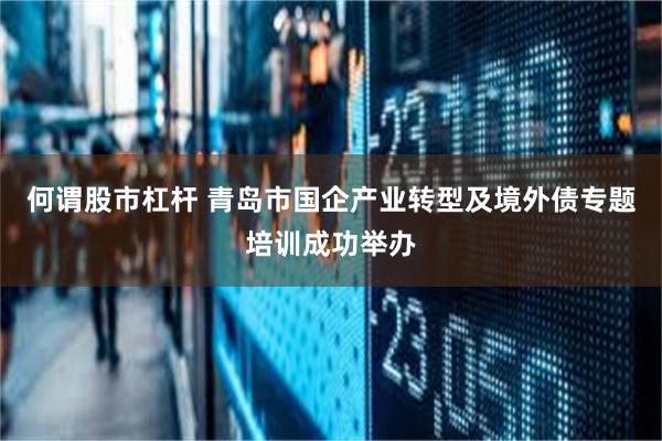 何谓股市杠杆 青岛市国企产业转型及境外债专题培训成功举办