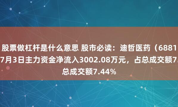 股票做杠杆是什么意思 股市必读：迪哲医药（688192）7月3日主力资金净流入3002.08万元，占总成交额7.44%