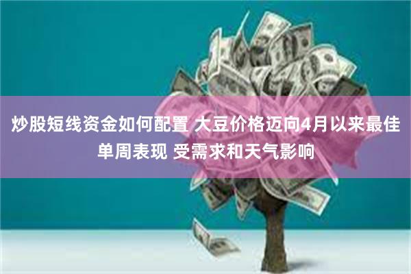 炒股短线资金如何配置 大豆价格迈向4月以来最佳单周表现 受需求和天气影响