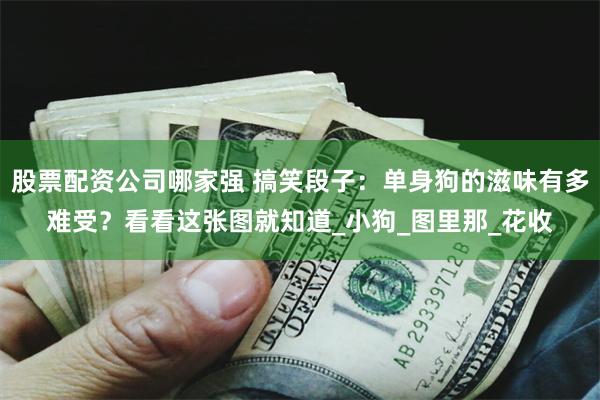 股票配资公司哪家强 搞笑段子：单身狗的滋味有多难受？看看这张图就知道_小狗_图里那_花收