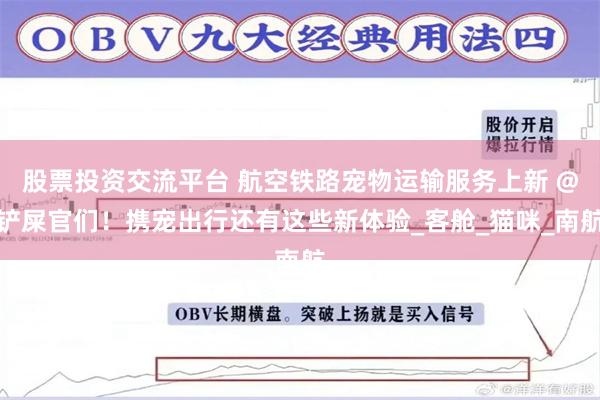 股票投资交流平台 航空铁路宠物运输服务上新 @铲屎官们！携宠出行还有这些新体验_客舱_猫咪_南航