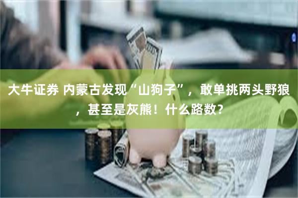 大牛证券 内蒙古发现“山狗子”，敢单挑两头野狼，甚至是灰熊！什么路数？