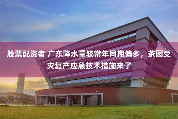 股票配资者 广东降水量较常年同期偏多,茶园受灾复产应急技术措施来了