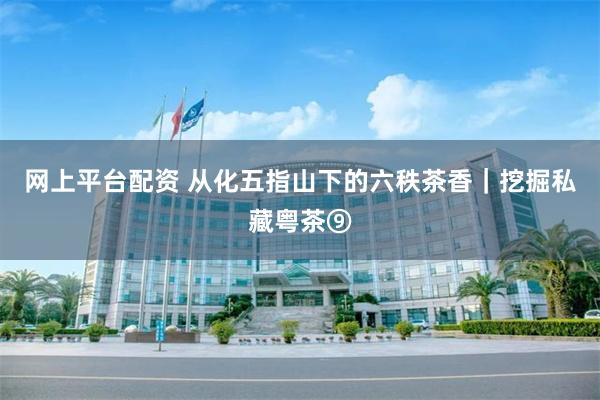 网上平台配资 从化五指山下的六秩茶香｜挖掘私藏粤茶⑨
