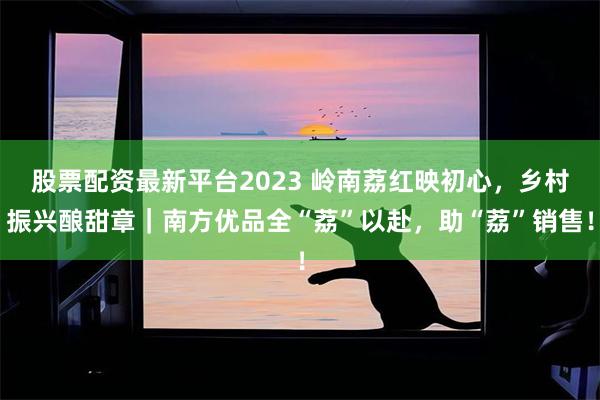 股票配资最新平台2023 岭南荔红映初心,乡村振兴酿甜章|南方优品全“荔”以赴,助“荔”销售!