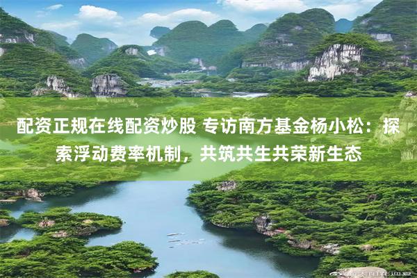 配资正规在线配资炒股 专访南方基金杨小松：探索浮动费率机制，共筑共生共荣新生态