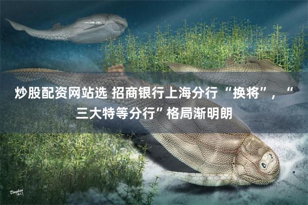 炒股配资网站选 招商银行上海分行 “换将”，“三大特等分行”格局渐明朗