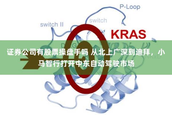 证券公司有股票操盘手吗 从北上广深到迪拜，小马智行打开中东自动驾驶市场