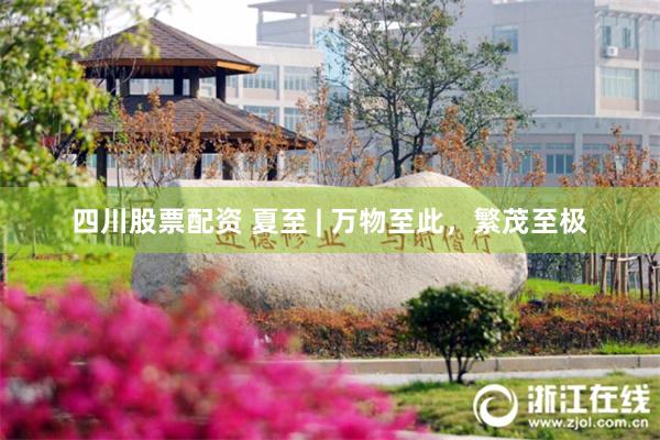 四川股票配资 夏至 | 万物至此，繁茂至极