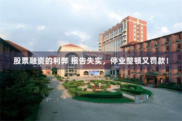 股票融资的利弊 报告失实，停业整顿又罚款！