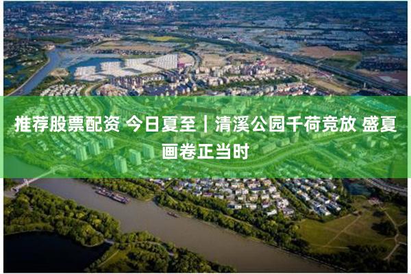 推荐股票配资 今日夏至｜清溪公园千荷竞放 盛夏画卷正当时
