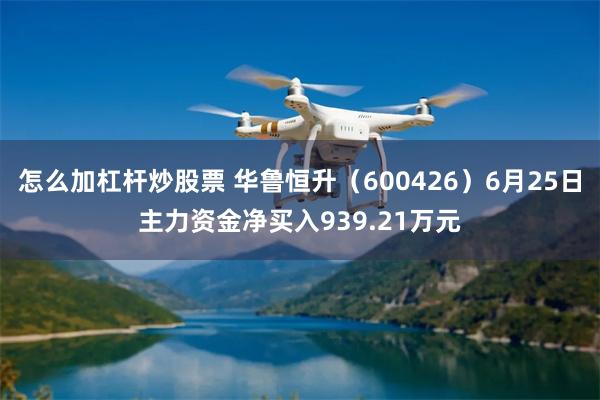 怎么加杠杆炒股票 华鲁恒升（600426）6月25日主力资金净买入939.21万元