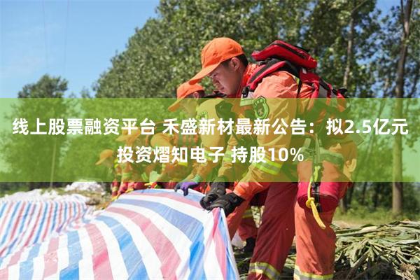 线上股票融资平台 禾盛新材最新公告：拟2.5亿元投资熠知电子 持股10%