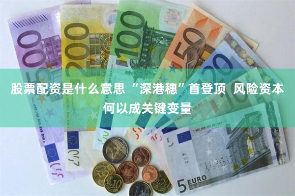 股票配资是什么意思 “深港穗”首登顶  风险资本何以成关键变量