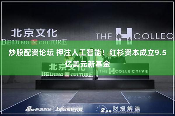 炒股配资论坛 押注人工智能！红杉资本成立9.5亿美元新基金