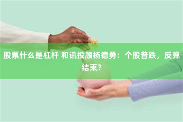 股票什么是杠杆 和讯投顾杨德勇：个股普跌，反弹结束？