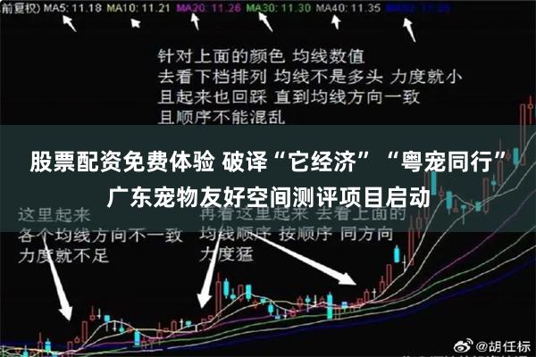 股票配资免费体验 破译“它经济” “粤宠同行”广东宠物友好空间测评项目启动
