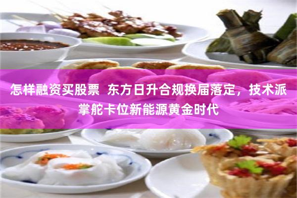 怎样融资买股票 东方日升合规换届落定,技术派掌舵卡位新能源黄金时代