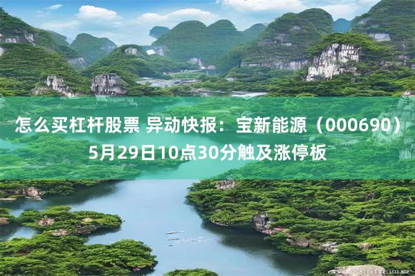 怎么买杠杆股票 异动快报：宝新能源（000690）5月29日10点30分触及涨停板