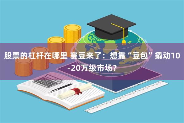 股票的杠杆在哪里 赛豆来了：想靠“豆包”撬动10-20万级市场？