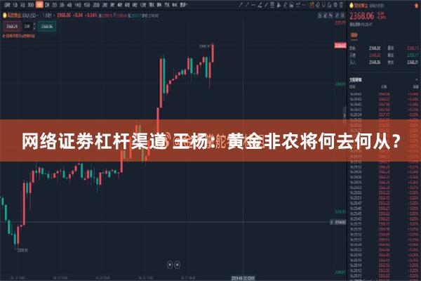 网络证劵杠杆渠道 王杨:黄金非农将何去何从?