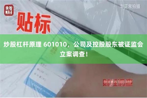 炒股杠杆原理 601010,公司及控股股东被证监会立案调查!