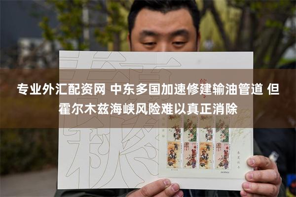 专业外汇配资网 中东多国加速修建输油管道 但霍尔木兹海峡风险难以真正消除