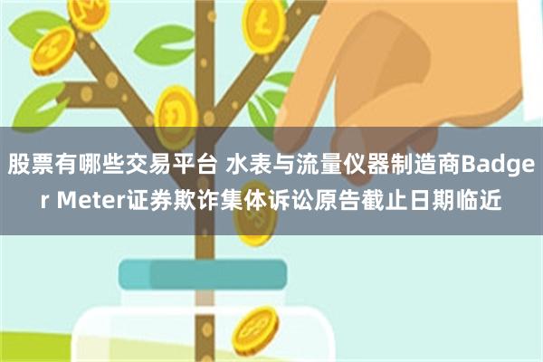 股票有哪些交易平台 水表与流量仪器制造商Badger Meter证券欺诈集体诉讼原告截止日期临近