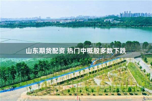 山东期货配资 热门中概股多数下跌