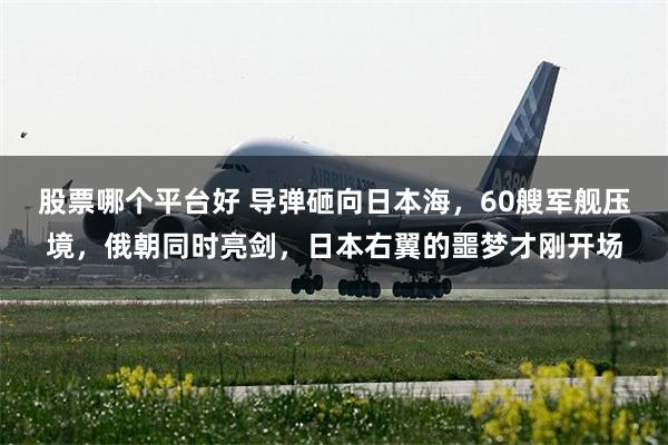 股票哪个平台好 导弹砸向日本海，60艘军舰压境，俄朝同时亮剑，日本右翼的噩梦才刚开场