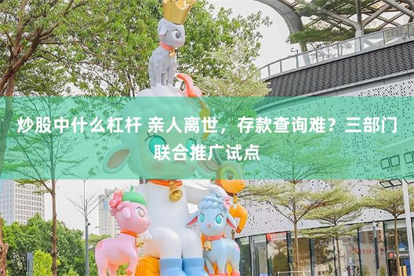 炒股中什么杠杆 亲人离世，存款查询难？三部门联合推广试点