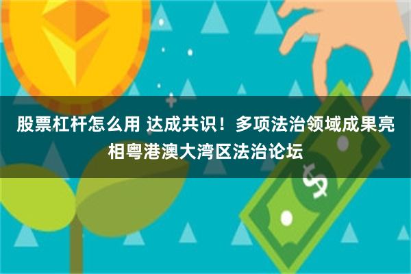 股票杠杆怎么用 达成共识！多项法治领域成果亮相粤港澳大湾区法治论坛