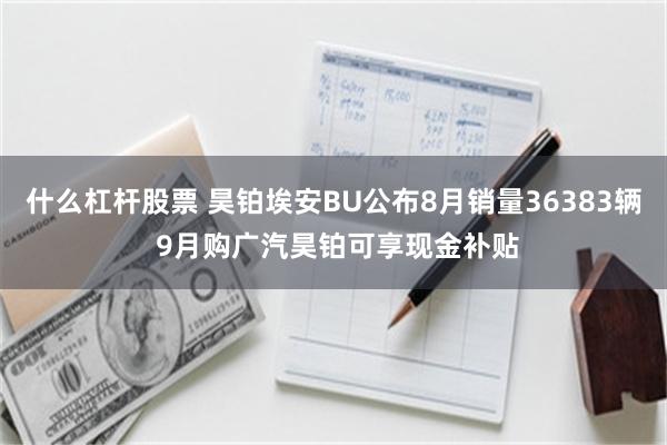 什么杠杆股票 昊铂埃安BU公布8月销量36383辆 9月购广汽昊铂可享现金补贴
