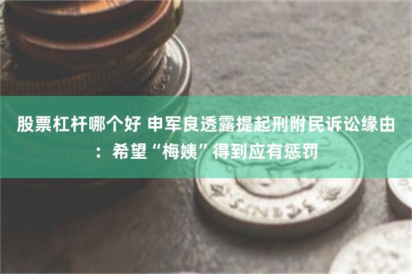 股票杠杆哪个好 申军良透露提起刑附民诉讼缘由：希望“梅姨”得到应有惩罚