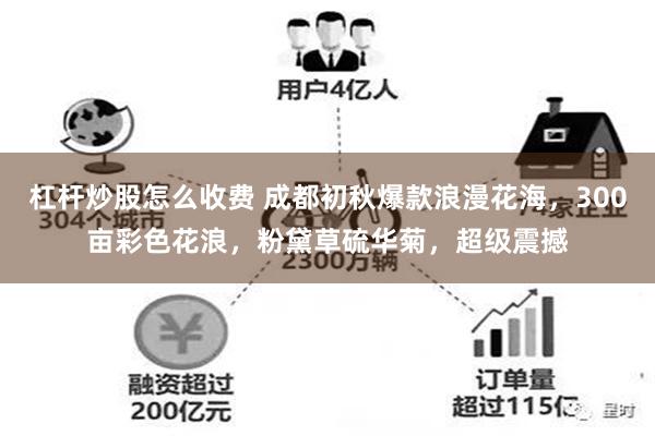 杠杆炒股怎么收费 成都初秋爆款浪漫花海，300亩彩色花浪，粉黛草硫华菊，超级震撼