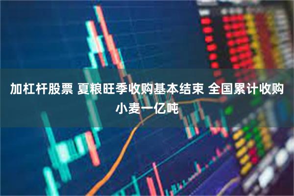 加杠杆股票 夏粮旺季收购基本结束 全国累计收购小麦一亿吨