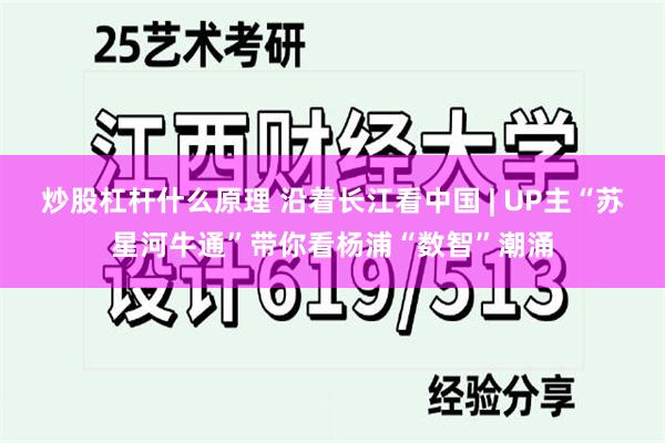 炒股杠杆什么原理 沿着长江看中国 | UP主“苏星河牛通”带你看杨浦“数智”潮涌
