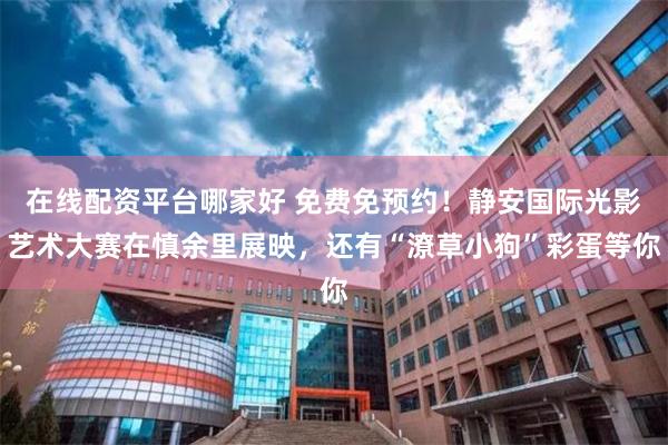 在线配资平台哪家好 免费免预约！静安国际光影艺术大赛在慎余里展映，还有“潦草小狗”彩蛋等你