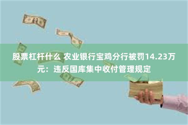 股票杠杆什么 农业银行宝鸡分行被罚14.23万元：违反国库集中收付管理规定