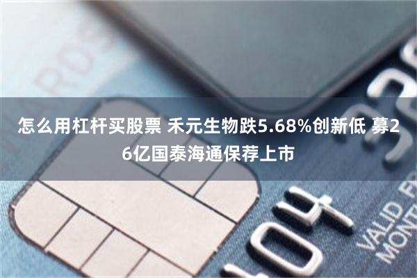 怎么用杠杆买股票 禾元生物跌5.68%创新低 募26亿国泰海通保荐上市