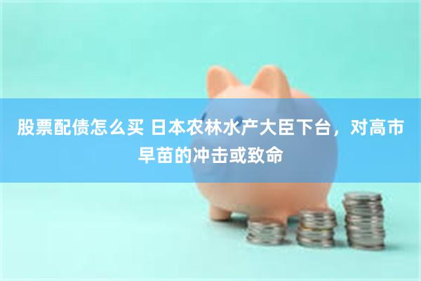 股票配债怎么买 日本农林水产大臣下台,对高市早苗的冲击或致命