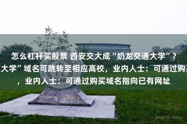 怎么杠杆买股票 西安交大成“奶龙交通大学”？记者实测多个“奶龙大学”域名可跳转至相应高校，业内人士：可通过购买域名指向已有网址